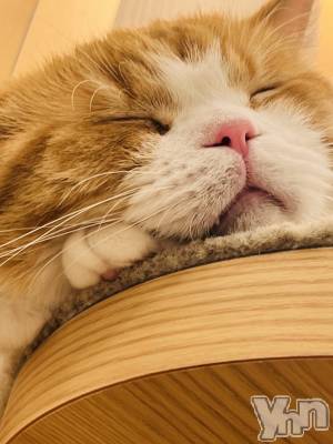 ���ܥ���Х��顦�����CLUB WONDER(����� ������) ����(25)��9��22���̥�֥����֤��ᤢ�ᤢ�����