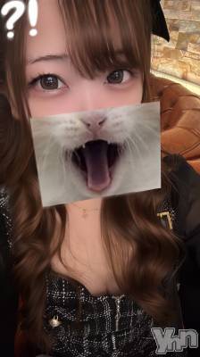 ���ܥ���Х��顦�����CLUB WONDER(����� ������) ����(25)��11��4���̥�֥�����🐈🐾��