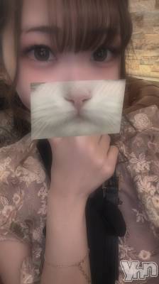 ���ܥ���Х��顦�����CLUB WONDER(����� ������) ����(25)��11��14���̥�֥����֥��󥰥ɥ쥹���٥�ȤǤ�💃🏿��