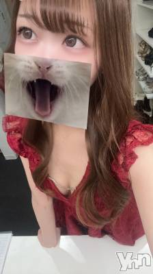 ���ܥ���Х��顦�����CLUB WONDER(����� ������) ����(25)��2��26���̥�֥����֤Ԥ硩������