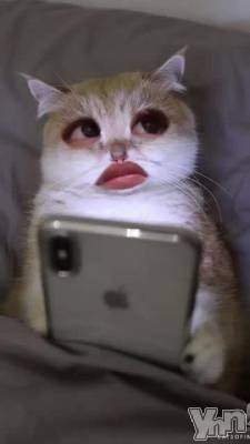 �ӡ�����