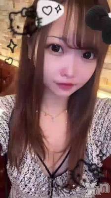 �����ѡ���🐱