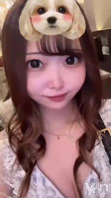 🐶ྀི🐶ྀི🐶ྀི