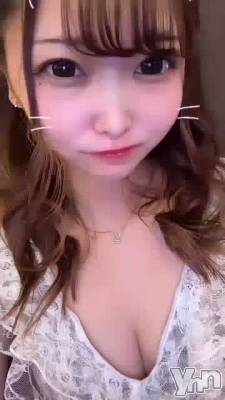 �ҡ��������������ͤ�Ǥ�������