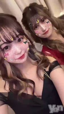 ( ᎔���꒳���᎔)