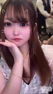 ⛩ �� �� ⛩