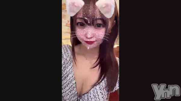 �֥����ȥ뤭���Ȥ���‼️��