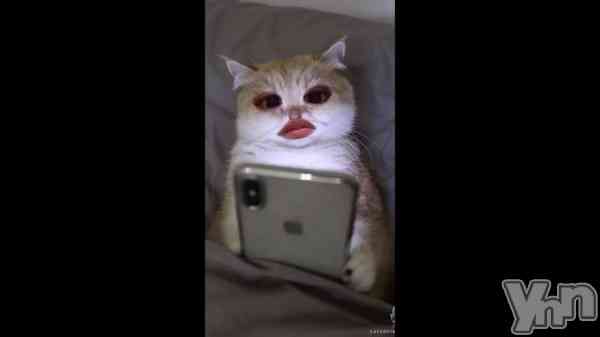 �֤ӡ�������