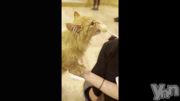 ��(��._. )����