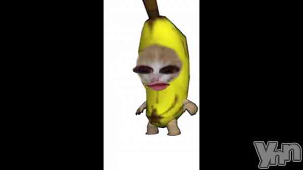 ���ʡ�🍌🐈��