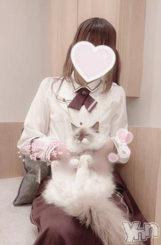 甲府デリヘルLOVE CLOVER(ラブクローバー) みれい(20)の6月9日写メブログ「ฅ(◍︎´꒳`◍︎)ฅ」