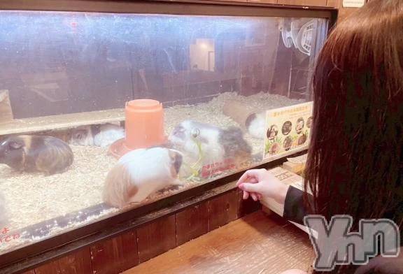 甲府デリヘルLOVE CLOVER(ラブクローバー) みれい(20)の9月19日写メブログ「ここにいるよ💭🙌✨」