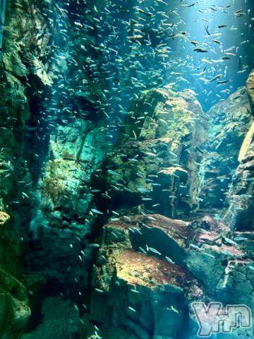 甲府デリヘルLOVE CLOVER(ラブクローバー)みれい(20)の2024年6月20日写メブログ「覚悟しててね♡♡」