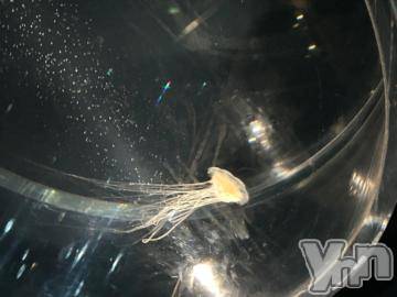 甲府デリヘルLOVE CLOVER(ラブクローバー)みれい(20)の2024年6月30日写メブログ「お兄さんへ」