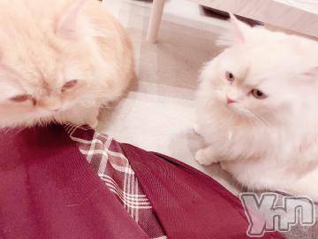 甲府デリヘルLOVE CLOVER(ラブクローバー)みれい(20)の2024年8月30日写メブログ「お兄さんへ」