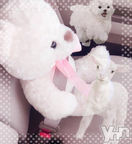 甲府デリヘルLOVE CLOVER(ラブクローバー)みれい(20)の2024年10月9日写メブログ「みれいだけ説‼️‼️‼️」