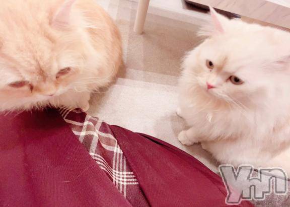 甲府デリヘルLOVE CLOVER(ラブクローバー)みれい(20)の2025年7月17日写メブログ「読んでね」