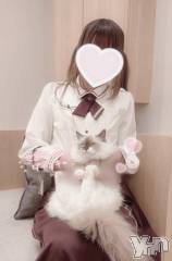 甲府デリヘルLOVE CLOVER(ラブクローバー) みれい(20)の6月9日写メブログ「ฅ(◍︎´꒳`◍︎)ฅ」