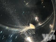 甲府デリヘルLOVE CLOVER(ラブクローバー) みれい(20)の6月30日写メブログ「お兄さんへ」