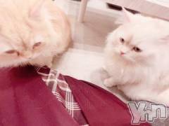 甲府デリヘルLOVE CLOVER(ラブクローバー) みれい(20)の8月30日写メブログ「お兄さんへ」