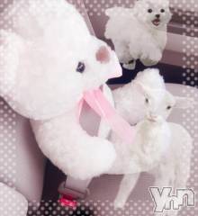 甲府デリヘルLOVE CLOVER(ラブクローバー) みれい(20)の10月9日写メブログ「みれいだけ説‼️‼️‼️」