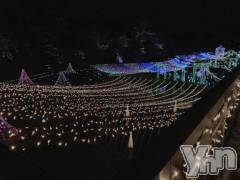 甲府デリヘルLOVE CLOVER(ラブクローバー) みれい(20)の12月19日写メブログ「🎄12月の出勤について🎄」