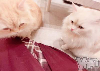 甲府デリヘル LOVE CLOVER(ラブクローバー) みれい(20)の7月17日写メブログ「読んでね」