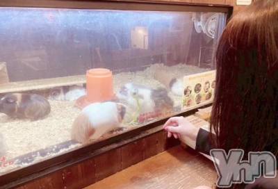 甲府デリヘル LOVE CLOVER(ラブクローバー) みれい(20)の9月19日写メブログ「ここにいるよ💭🙌✨」