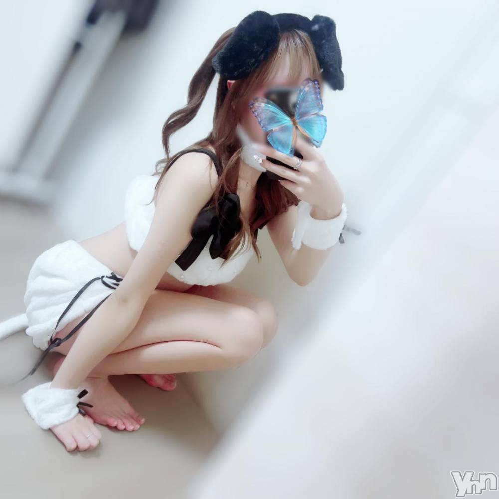 甲府ソープ石蹄(セキテイ) みゆ(20)の11月5日写メブログ「8️⃣にち！！💗」