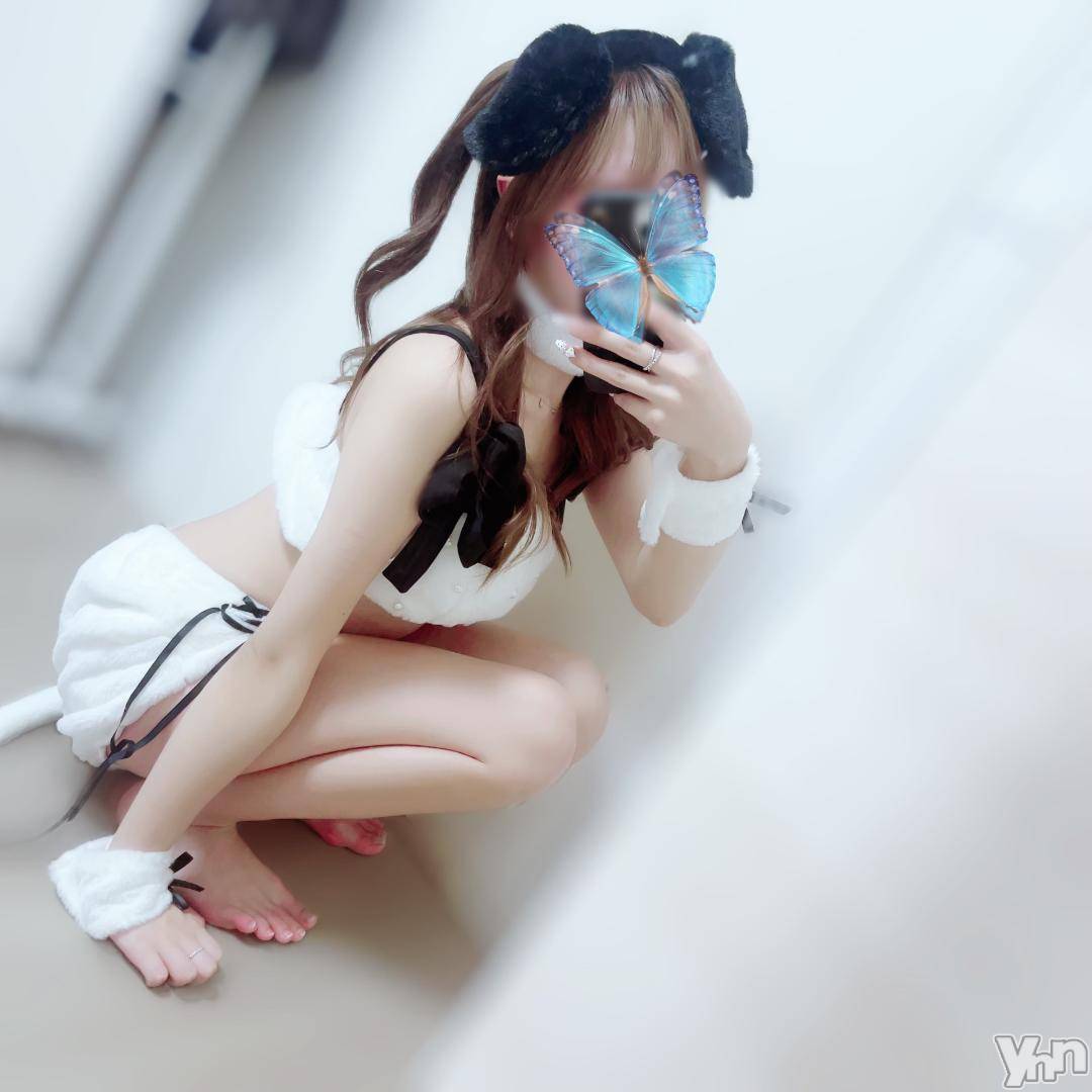 甲府ソープ石蹄(セキテイ)みゆ(20)の2024年11月5日写メブログ「8️⃣にち！！💗」