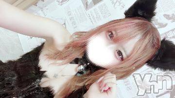 甲府ソープ 石蹄(セキテイ) みゆ(20)の10月26日写メブログ「飼って🐈‍⬛🎀」