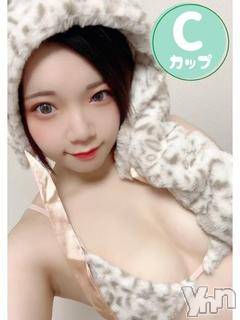 甲府ソープオレンジハウス とわ(26)の3月15日写メブログ「直近の出勤予定」