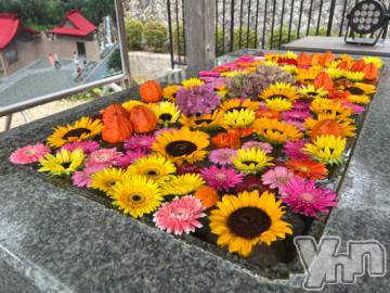 甲府デリヘルザ10,000円甲府店 (ザイチマンエンコウフテン) めい(27)の8月30日写メブログ「出勤予定」