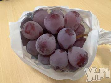 甲府デリヘルザ10,000円甲府店 (ザイチマンエンコウフテン) めい(27)の9月7日写メブログ「メロン2個分」