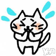 甲府デリヘル山梨デリヘル　絆　甲府店(ヤマナシデリヘル　キズナ　コウフテン) つむぎ(21)の6月28日写メブログ「出勤情報について」