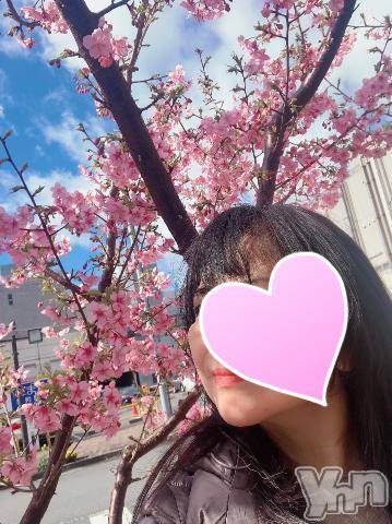 甲府デリヘル甲府人妻隊(コウフヒトヅマタイ)新人まゆみ(50)の2024年4月12日写メブログ「近々の出勤🌸」