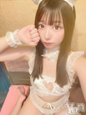 甲府ソープ オレンジハウス こゆき(18)の写メブログ「再び「猫」🐈⸒⸒⸒⸒💞」