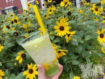 甲府デリヘル甲府人妻隊(コウフヒトヅマタイ)れの(25)の2023年10月3日写メブログ「おはようございます🍁」