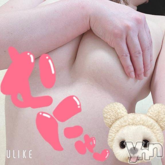 甲府デリヘル甲府人妻隊(コウフヒトヅマタイ) 新人わか(33)の2月24日写メブログ「おはよう」