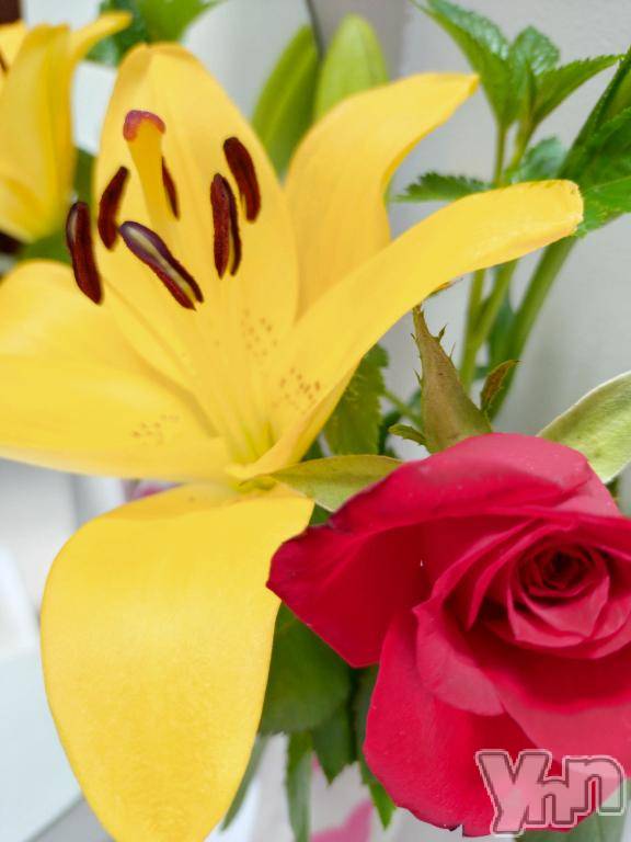 甲府デリヘル甲府人妻隊(コウフヒトヅマタイ) 新人える(47)の6月13日写メブログ「ちょっとひと休み」