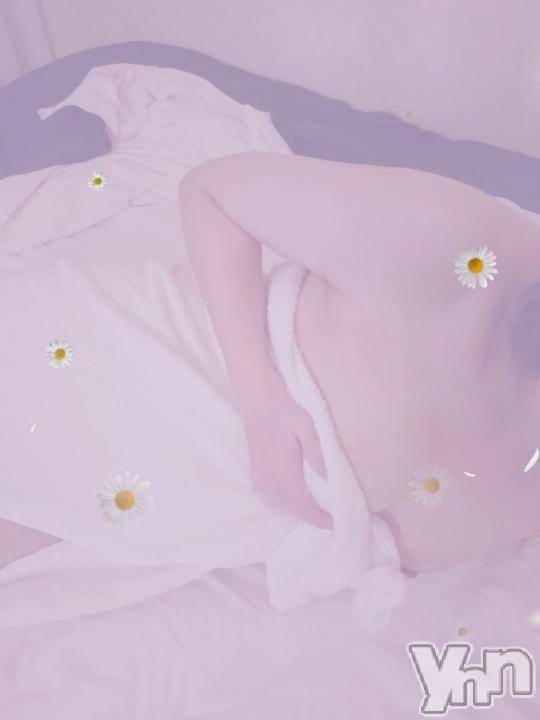 甲府デリヘル甲府人妻隊(コウフヒトヅマタイ)新人える(47)の2024年10月12日写メブログ「陽射し暖かく」