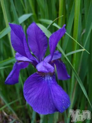 甲府デリヘル 甲府人妻隊(コウフヒトヅマタイ) 新人える(47)の6月16日写メブログ「週明けの夜ですね」