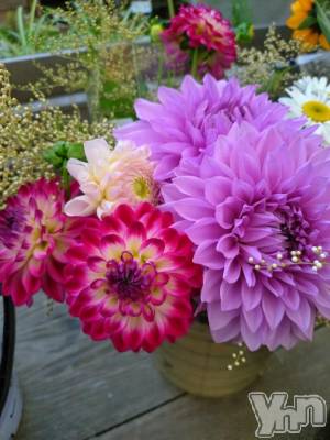 甲府デリヘル 甲府人妻隊(コウフヒトヅマタイ) 新人える(47)の6月18日写メブログ「とろけそうな暑さ🔆｡°」