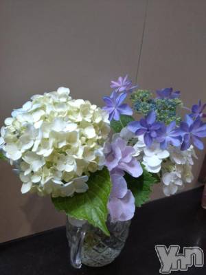 甲府デリヘル 甲府人妻隊(コウフヒトヅマタイ) 新人える(47)の6月19日写メブログ「お疲れさまです🍀」