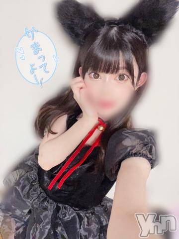 甲府ソープ石蹄(セキテイ) はつね(23)の10月9日写メブログ「あなたはどちら派？ᐢ⸝⸝•⩊•⸝⸝ᐡ」