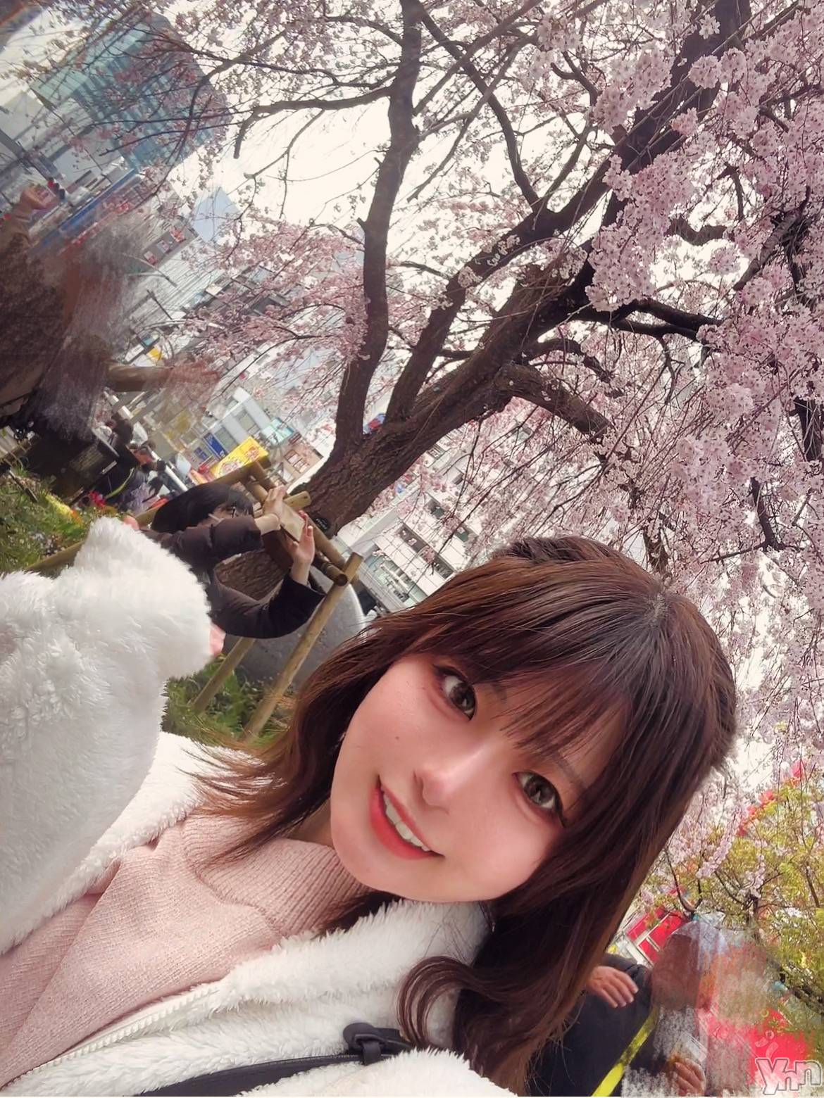 �ٻε��ĥ���Х��顦�����Club ALICE(����֥��ꥹ) ��2026ǯ3��26���̥�֥����֥�꡼��꡼�ա���🌸��