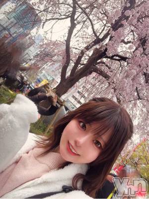 �ٻε��ĥ���Х��顦�����Club ALICE(����֥��ꥹ) �ߥ���3��26���̥�֥����֥�꡼��꡼�ա���🌸��