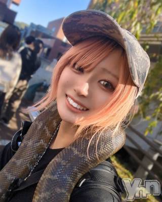 �ٻε��ĥ���Х��顦�����Club ALICE(����֥��ꥹ) �ߥ���11��3���̥�֥�����11��3�� 15��30ʬ�μ̥�֥�����