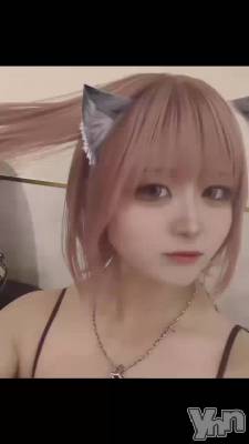 11��14�� 02��31ʬ��ư��