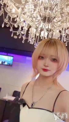 12��29�� 03��31ʬ��ư��